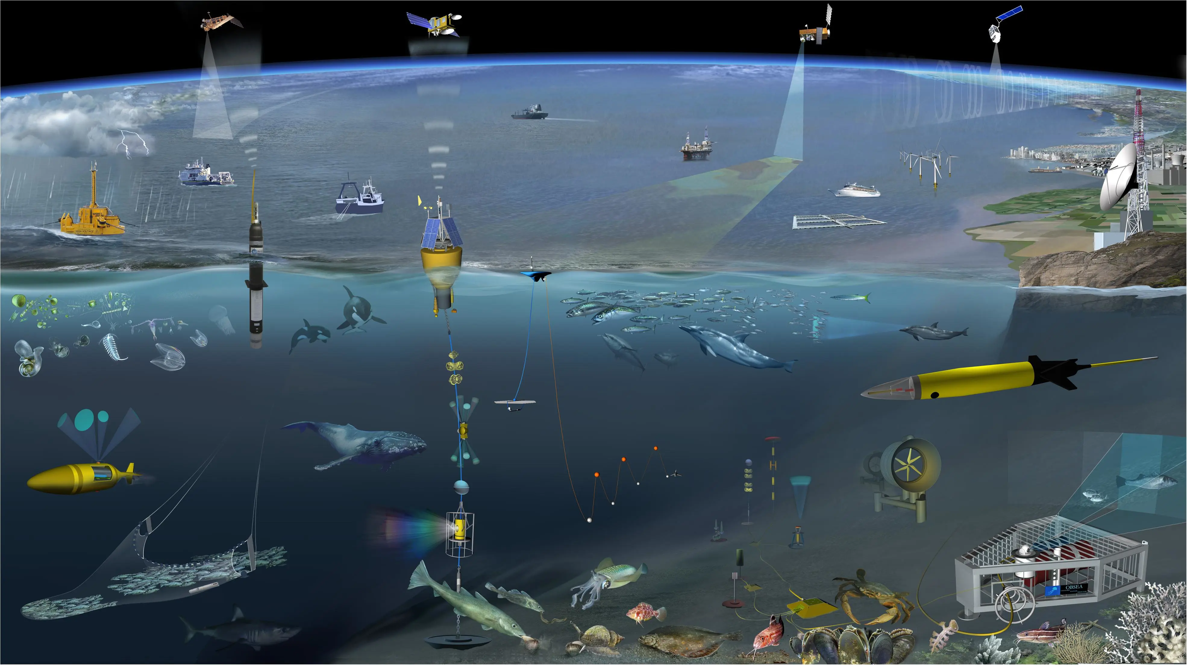 Future Vision for Autonomous Ocean Observations，C. Whitt et al.,  2020